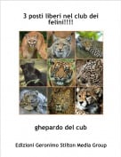 ghepardo del cub - 3 posti liberi nel club dei felini!!!!