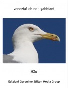 H2o - venezia? oh no i gabbiani