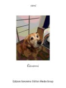 Giovanni - cani