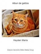 Hayden Mar&iacute;a - Albun de gatitos
