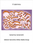 tenerina tenerotti - Il labirinto