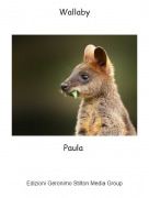 Paula - Wallaby
