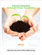 Machi - Ciencia Sorpresa:Como germinan las plantas