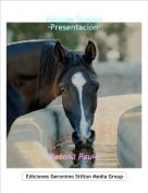 Ratona Paula - Hillside Stables&middot;Presentaci&oacute;n&middot;