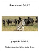 ghepardo del club - il segreto dei felini 2