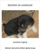 tunisina topina - DESCRIVO UN CAGNOLINO