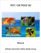Nicoc&ograve; - TEST: CHE PESCE SEI