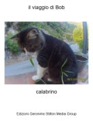 calabrino - il viaggio di Bob