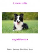 Angie&amp;Pandora - il border collie