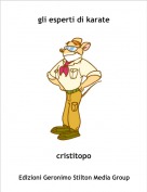 cristitopo - gli esperti di karate