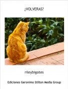 rileybigotes - &iquest;VOLVERAS?
