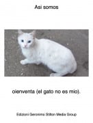 oienventa (el gato no es mio). - Asi somos