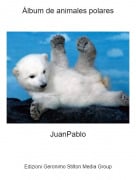 JuanPablo - &Aacute;lbum de animales polares