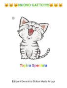 Topina Sperduta - 🐱🐱🐱NUOVO GATTO!!!!!🐱🐱🐱