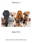 Astur1313 - Perros (1)