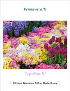 TopoFabi!!! - Primavera!!!