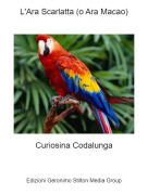 Curiosina Codalunga - L'Ara Scarlatta (o Ara Macao)