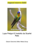 Lupe Peligro12 tradotto da Scarlet Rats - ragazzi nuovo club!