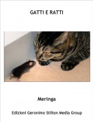 Meringa - GATTI E RATTI