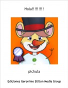 pichula - Hola!!!!!!!!!