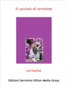certosina - Il cucciolo di certosina