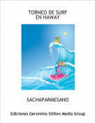 SACHAPARMESANO - TORNEO DE SURFEN HAWAY