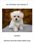 ratialex - los animales m&aacute;s bonitos 2