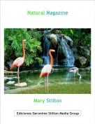 Mary Stilton - Natural Magazine