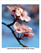 Android. - Revista Fantasy & Mouse.