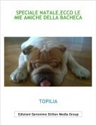 TOPILIA - SPECIALE NATALE,ECCO LE MIE AMICHE DELLA BACHECA