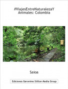 Saioa - #ViajesEntreNaturalezaYAnimales: Colombia