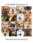 Cristi - Curiosidades de los perros 2