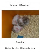 Toparide - I 4 amici di Benjamin