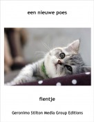 fientje - een nieuwe poes