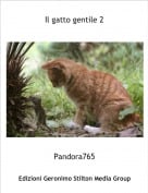 Pandora765 - Il gatto gentile 2