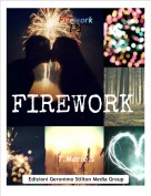 T.Marie.S - Firework[3]