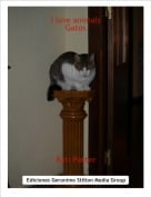 Rati Potter - I love animalsGatos