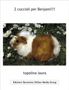 topolina laura - 2 cuccioli per Benjami!!!