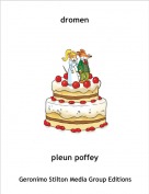 pleun poffey - dromen