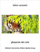 ghepardo del club - felini rarissimi