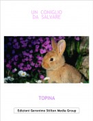 TOPINA - UN  CONIGLIO DA  SALVARE