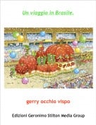 gerry occhio vispo - Un viaggio in Brasile.