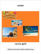 caccia gatti - estate