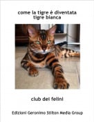 club dei felini - come la tigre &egrave; diventata tigre bianca