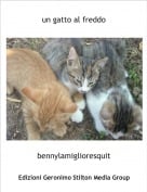 bennylamiglioresquit - un gatto al freddo