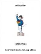 junekemuis - vollyballen