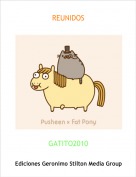 GATITO2010 - REUNIDOS