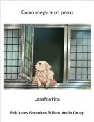 Larafontina - Como elegir a un perro