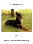 tf67 - Il cane perfetto