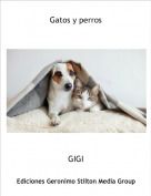 GIGI - Gatos y perros